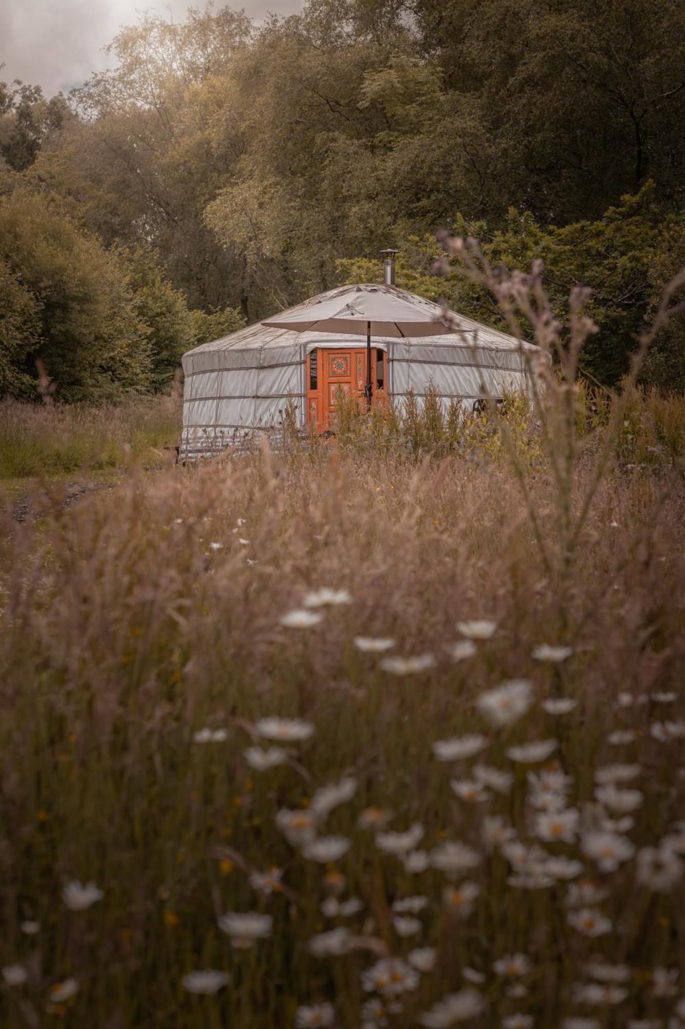 Gilfach Gower Farm Luxury Yurt With Hot Tub Hotel Ammanford Kültér fotó